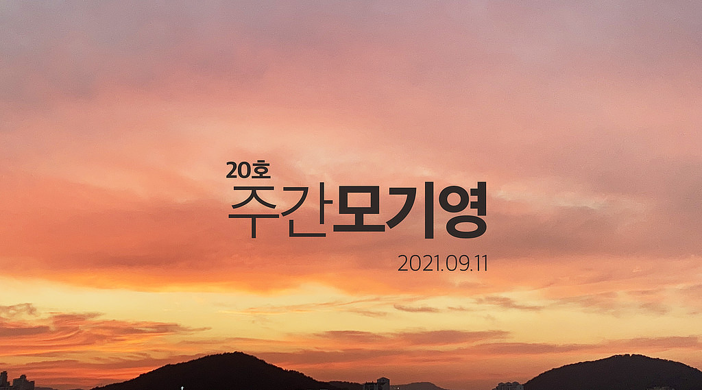 2021년 20호 주간모기영의 썸네일 이미지