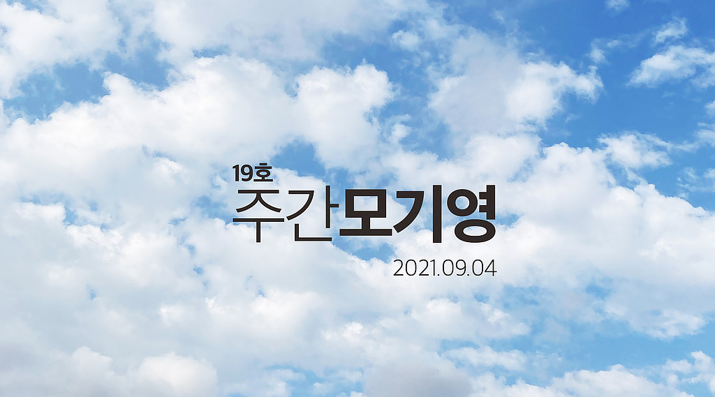 2021년 19호 주간모기영의 썸네일 이미지