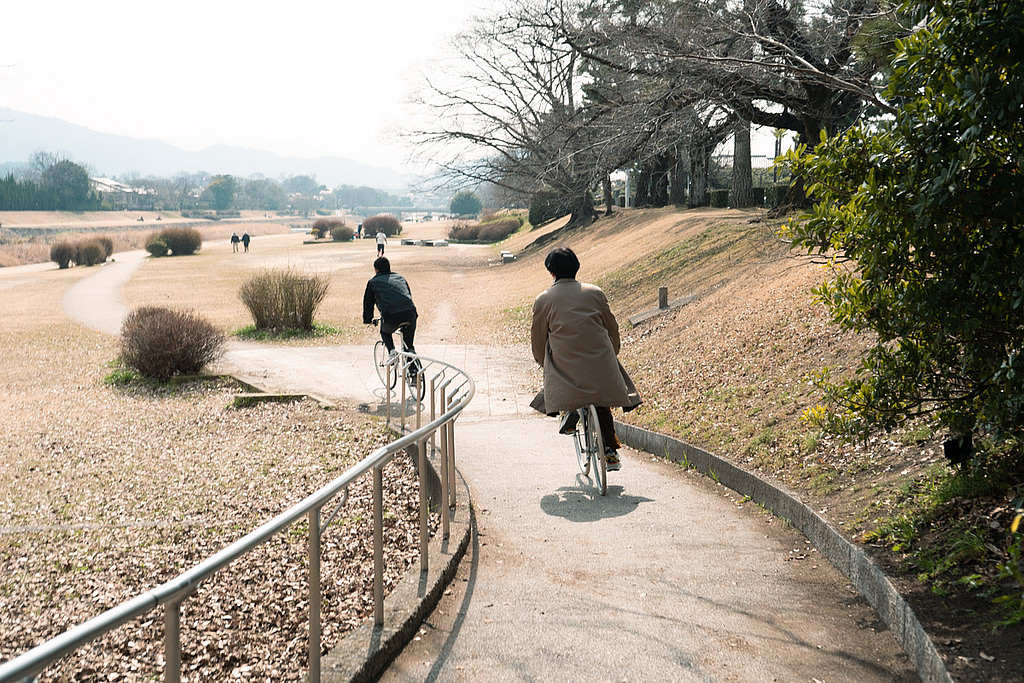 🤸‍♂️ 다시 만난 세계, 오늘부터 우리는 & 그럼에도 불구하고 하루는의 썸네일 이미지