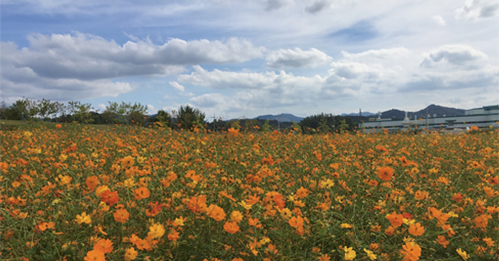 [Vol.22] 🌻 시월의 어느 멋진, 아니 추운 날에의 썸네일 이미지