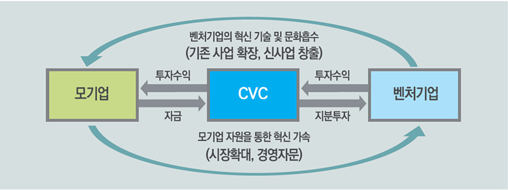 금융이긴한테 CVC의 썸네일 이미지