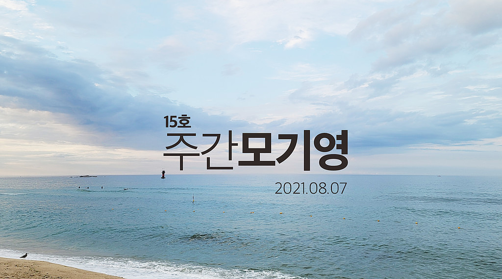 2021년 15호 주간모기영의 썸네일 이미지