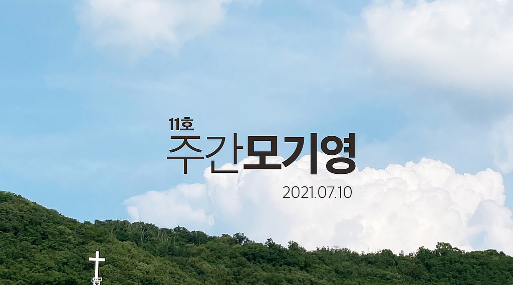 2021년 11호 주간모기영의 썸네일 이미지