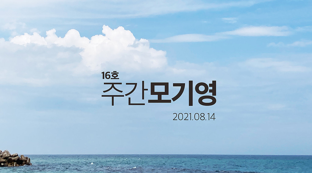 2021년 16호 주간모기영의 썸네일 이미지