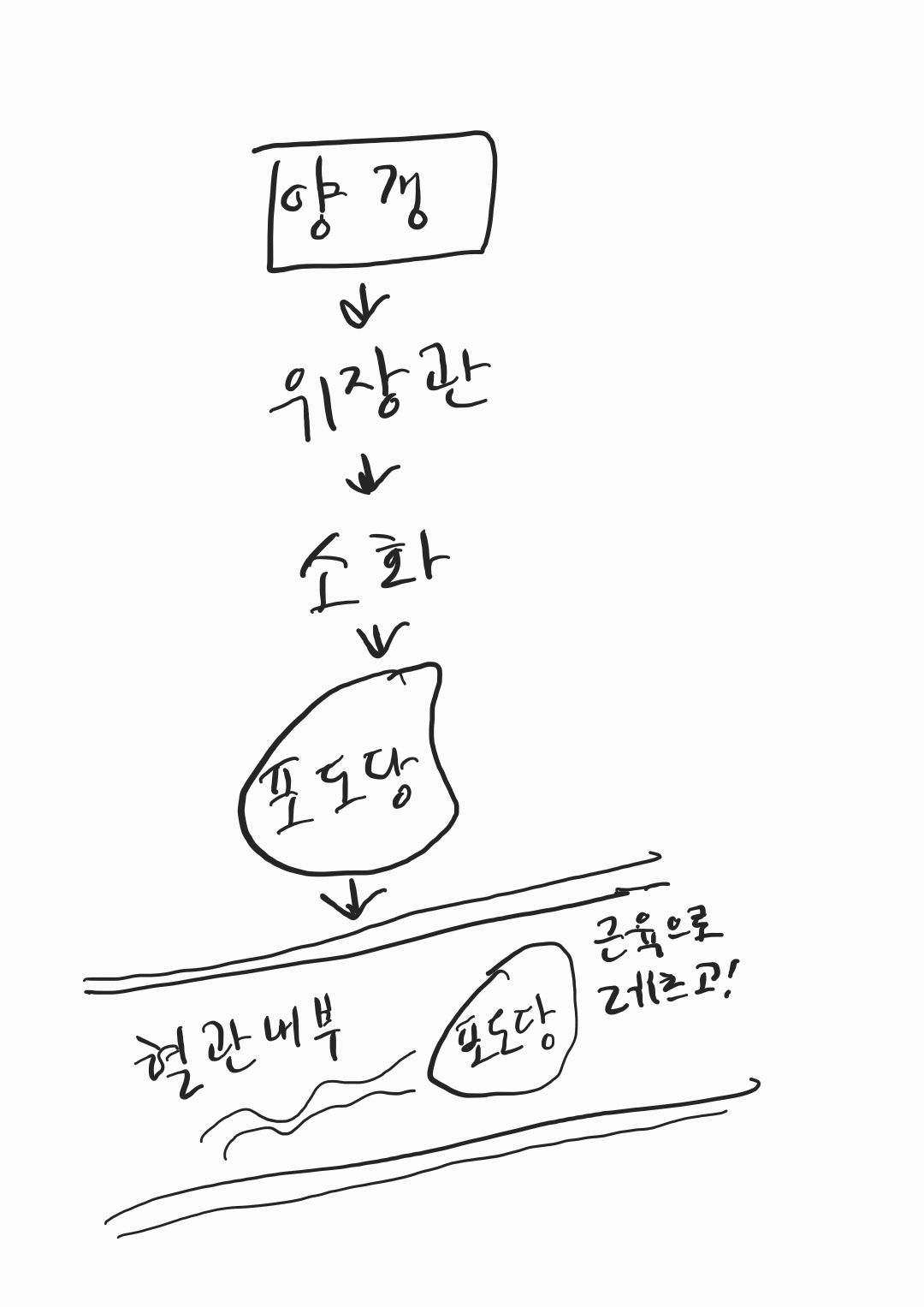 포도당은 근육과 뇌를 비롯하여 우리 몸 곳곳에서 에너지원으로 쓰입니다.