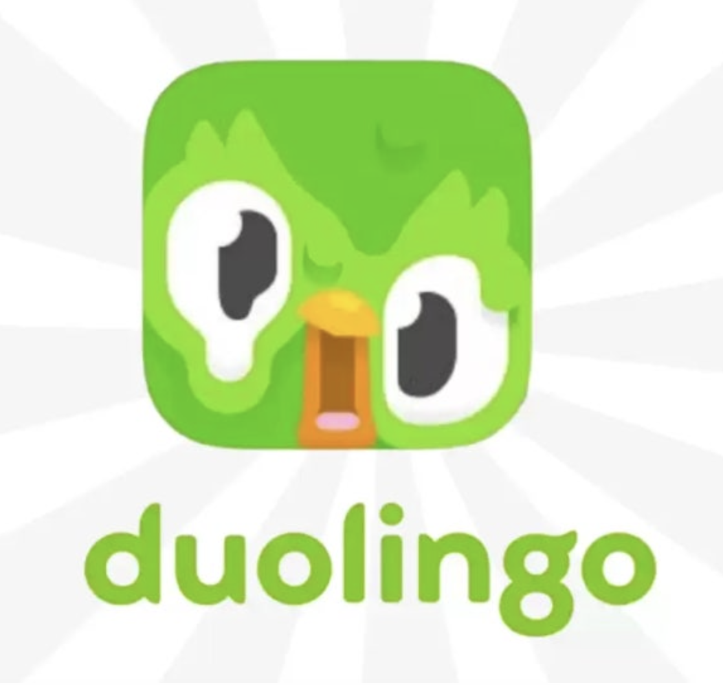 듀오링고 아이콘 표정