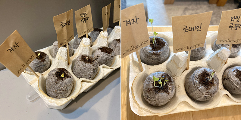 4월 16일, 4월 17일의 첫번째 새싹들