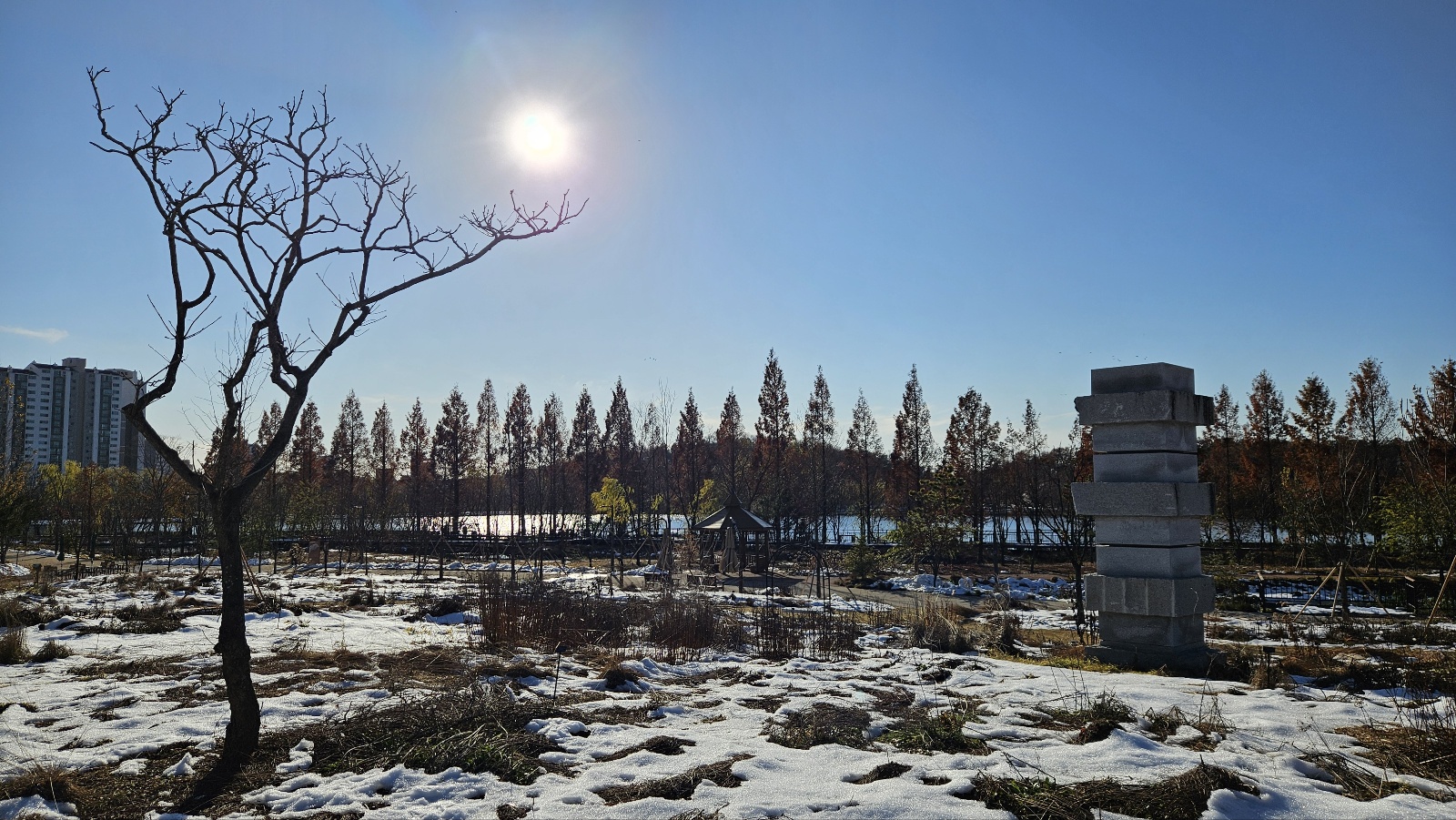 가지의 형태만으로도 아름다운 겨울 정원