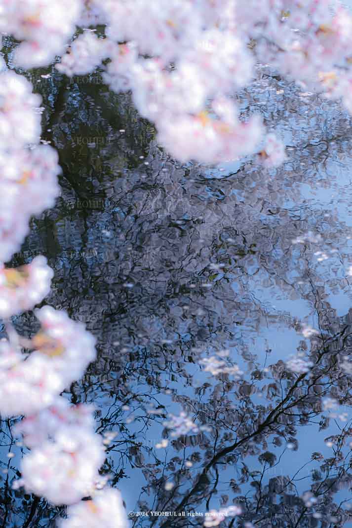 #1-1. 일렁이는 봄