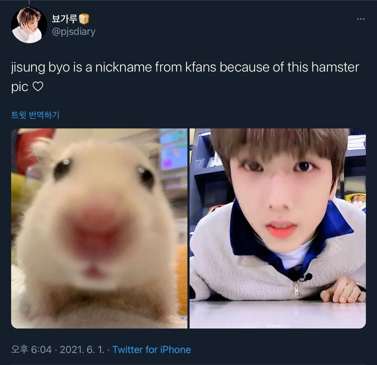 이제 사람한테도 뵤하다라는 말을 쓰기 시작했다. 사진은 NCT 지성