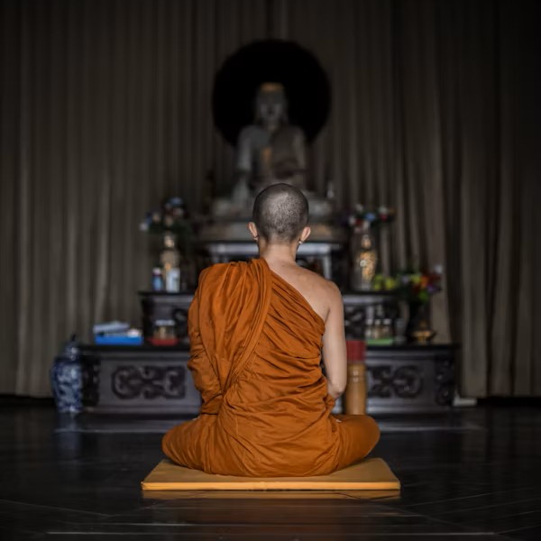 출처: Unsplash