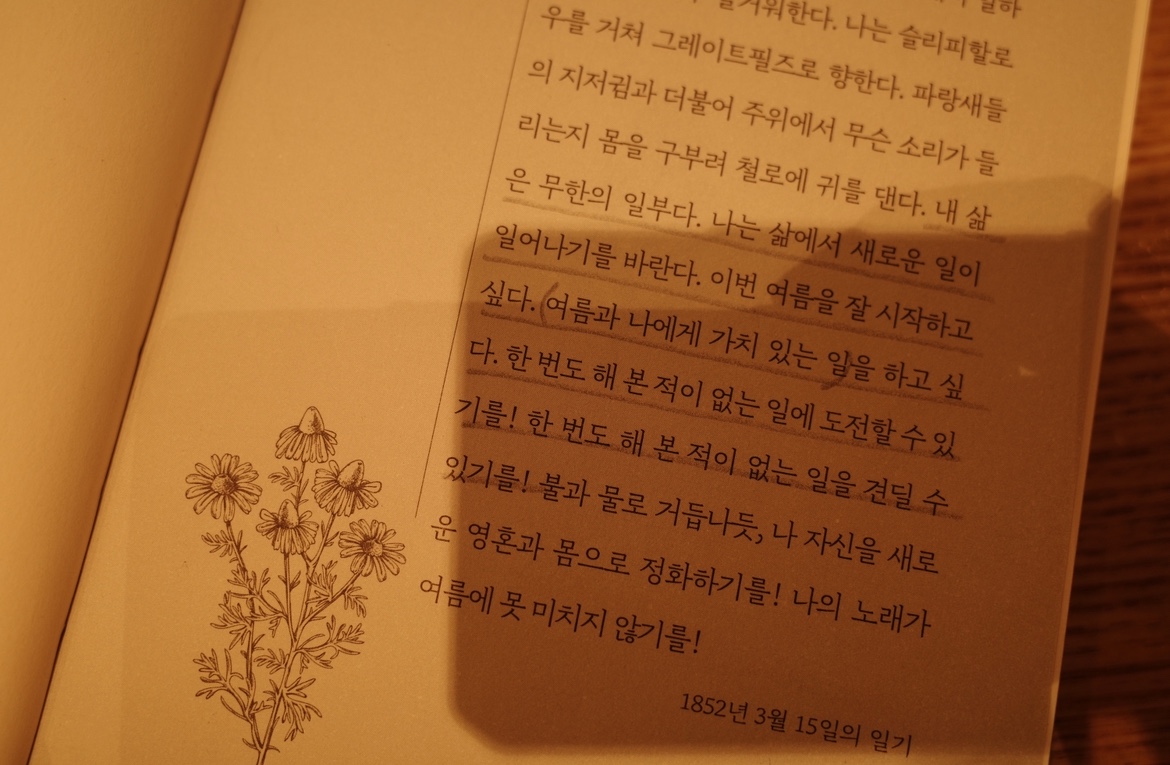 1852년 이맘때, 소로의 일기장에서