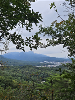 북한산 둘레길 2구간-자꾸만 녹색이 옅어지니 덥다고 가을 타령할 땐 언제고 이젠 창창했던 여름이 아쉽기도 합니다.