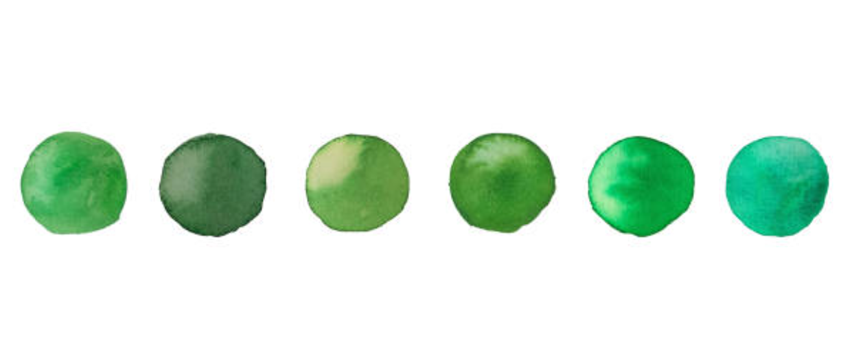 이미지 출처_Istock