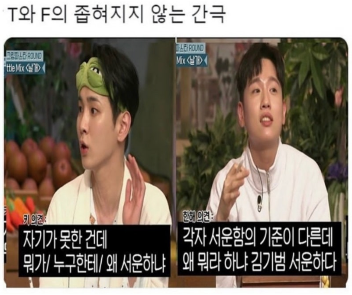 mbit T(왼쪽)와 F(오른쪽)의 성향 차이