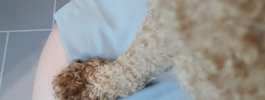 오월이와 나의 즐거운 한때