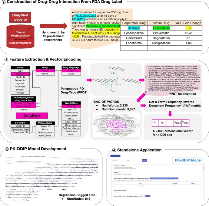 머신러닝 기반 약물 간 상호 작용으로인한 약동학 정량적 예측의 썸네일 이미지