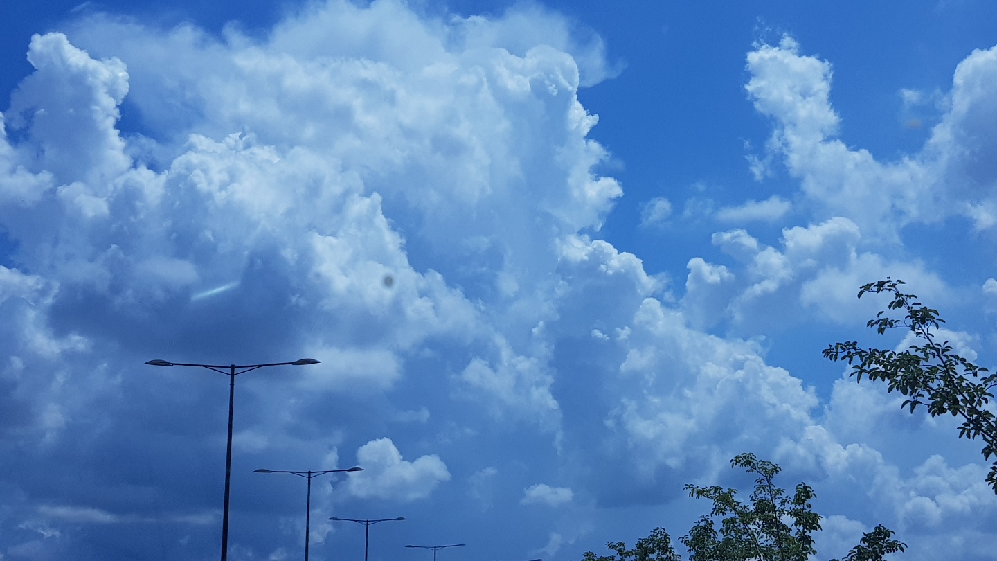 촬영 : 웃는 얼굴