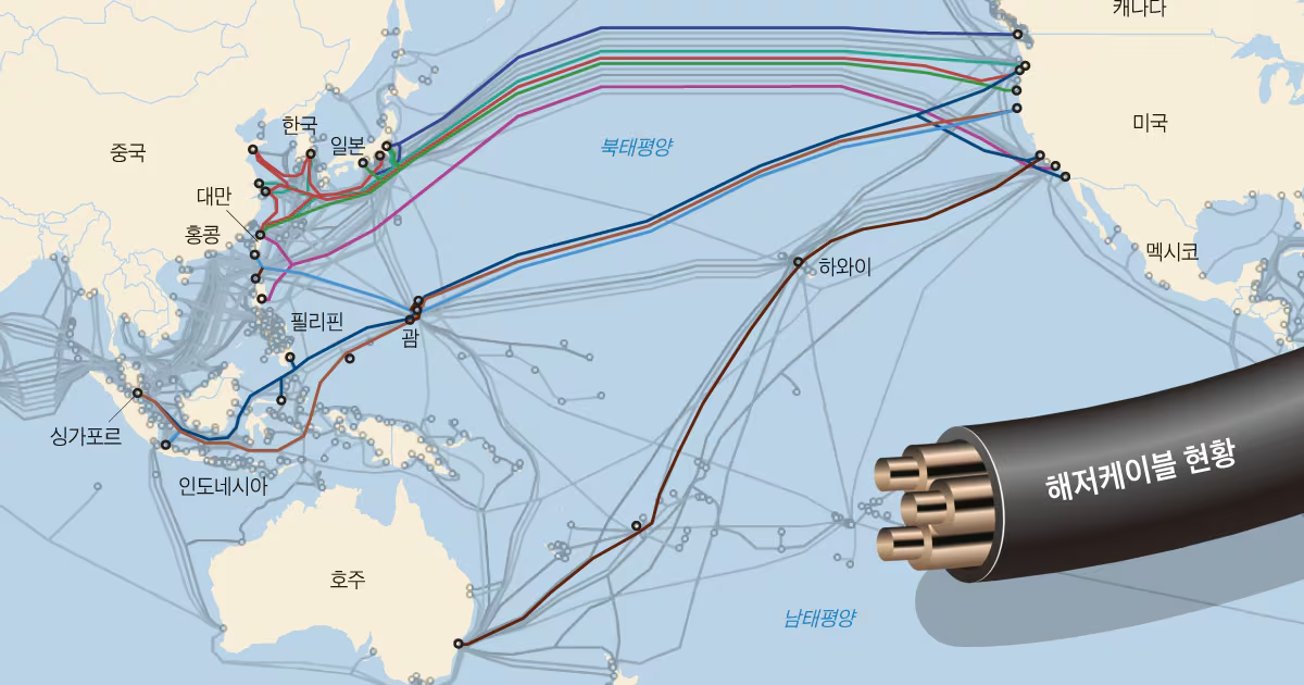 IT News Update_2024/11/21 의 썸네일 이미지