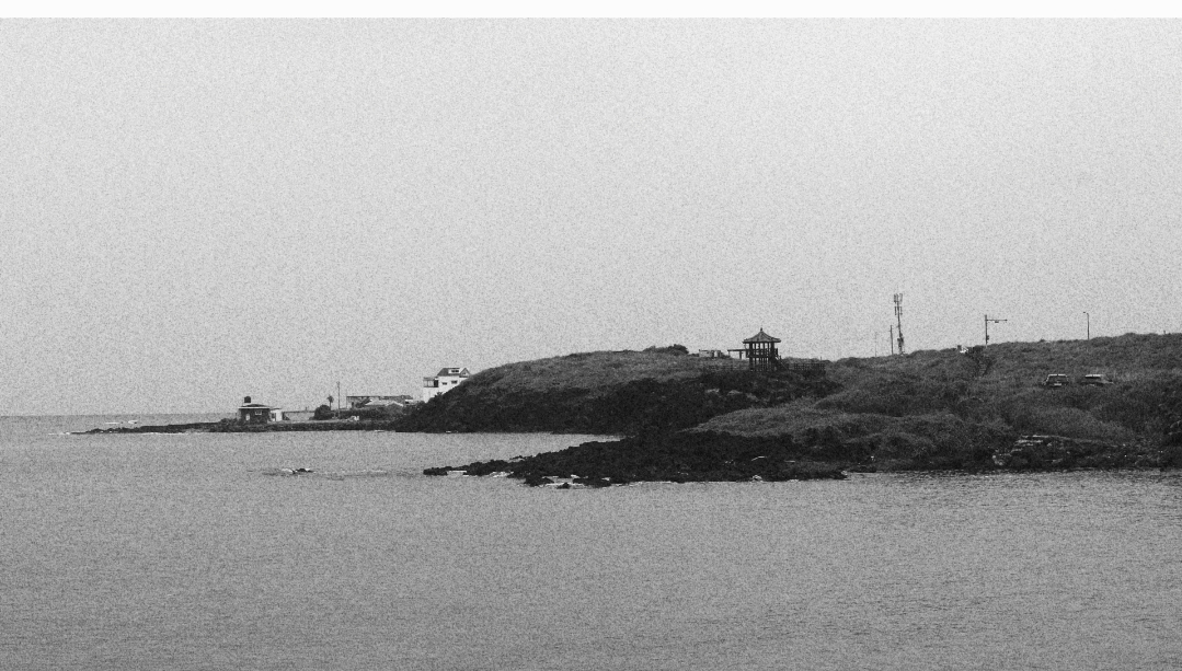 [010dandan] 2025년 7월 %name%, 도망친 곳에 낙원은 있나?의 썸네일 이미지