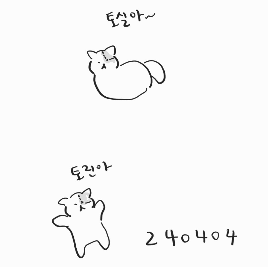 토린4