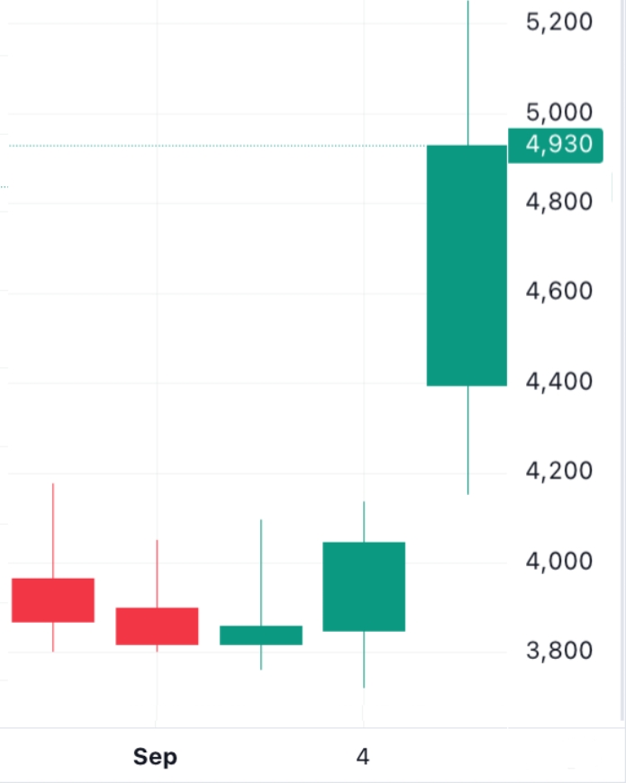 🐬[DOLFIN] 9월 6일 장전 체크리스트의 썸네일 이미지