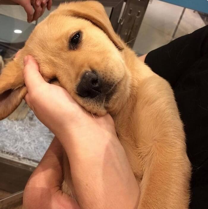 이미지 = 네이버 블로그 캡쳐 (https://post.naver.com/viewer/postView.nhn?volumeNo=29025612&memberNo=40274210)