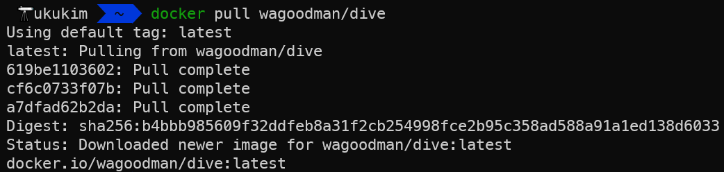 docker pull wagoodman/dive 명령어로 dive의 공식 Image를 가져옵니다.