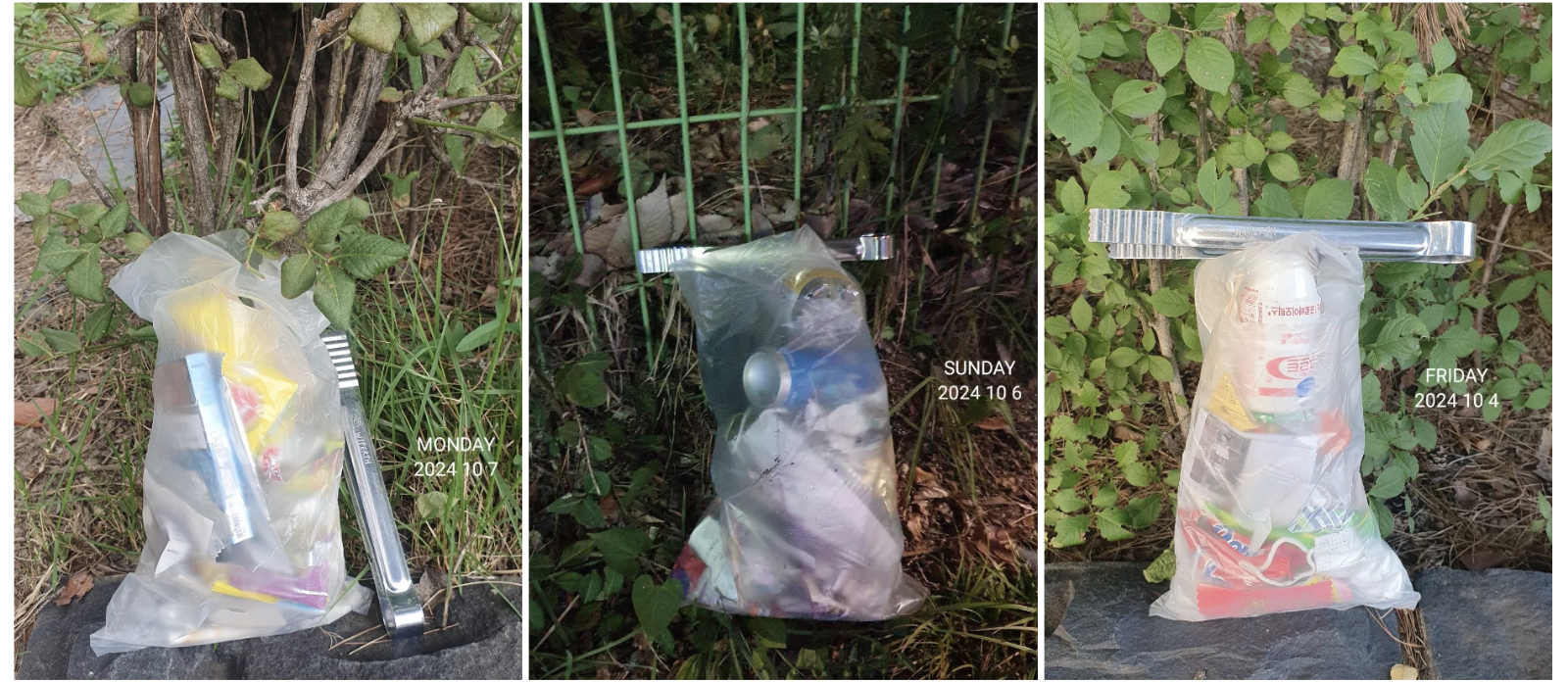 사진 출처 byeolhanadalhana IG