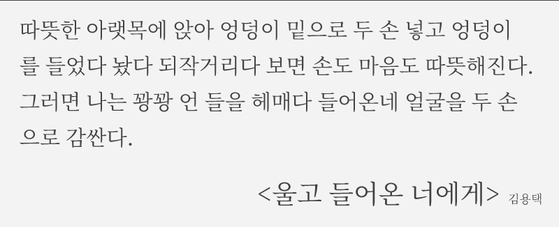 김용택 <울고 들어온 너에게>