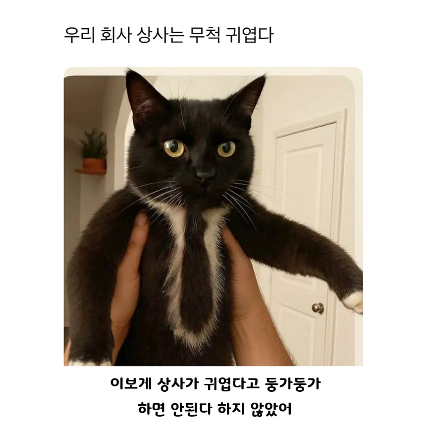 달콤한 꿈을 꾸셨나요의 썸네일 이미지