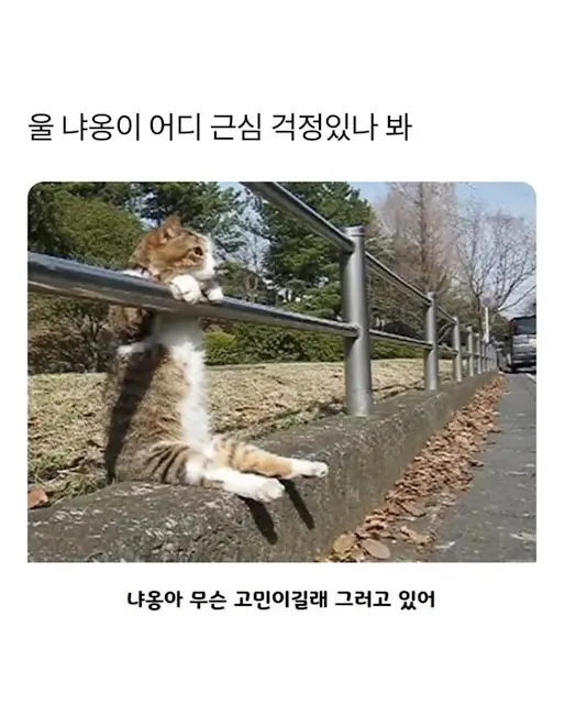 회고하는 주의 시작입니다의 썸네일 이미지