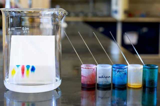 잉크로 종이에 점을 찍고, 물에 담가두면 잉크가 이동하는 걸 볼 수 있어! 