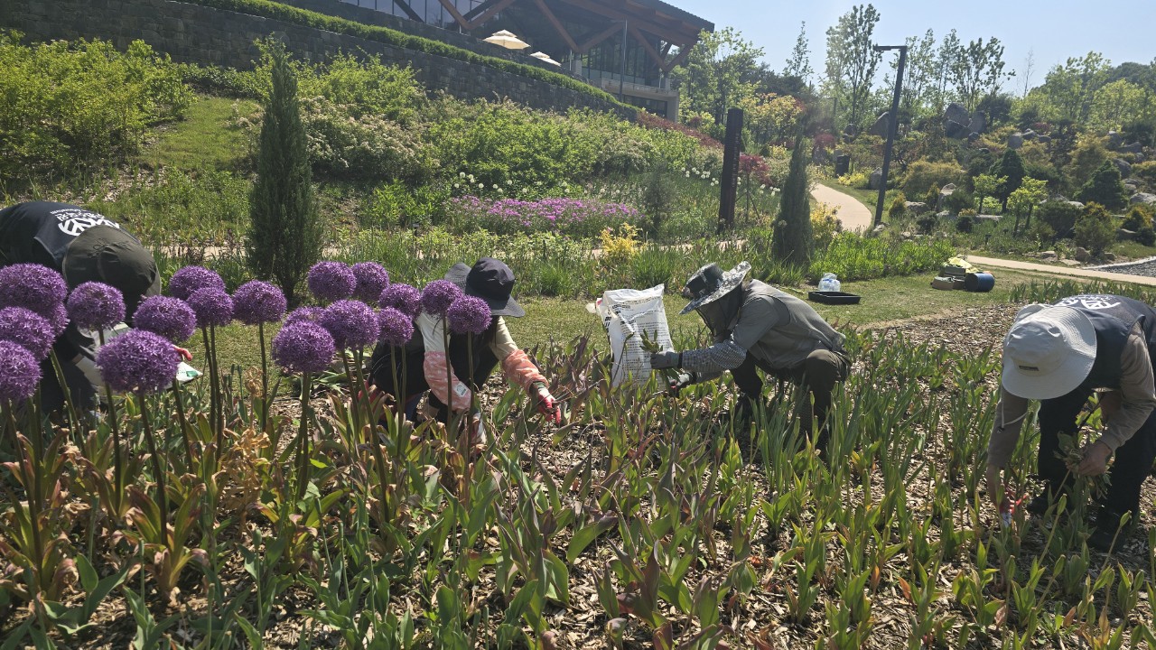 예쁜 정원을 갖기 위해선 노동이 필수적이다. 땡볕 아래 모자도 필수다!