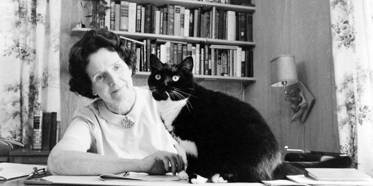 ⓒ Alfred Eisenstaedt/LIFE Picture Collection, Getty Images