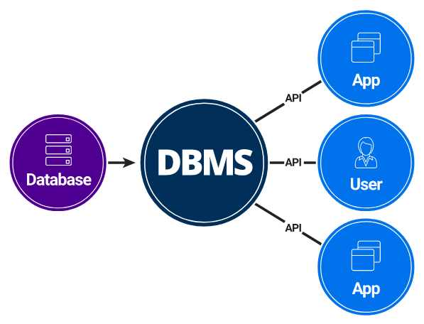 dbms