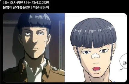 이미지 = X캡처 (https://x.com/kanchobraun/status/1916476725858640353)