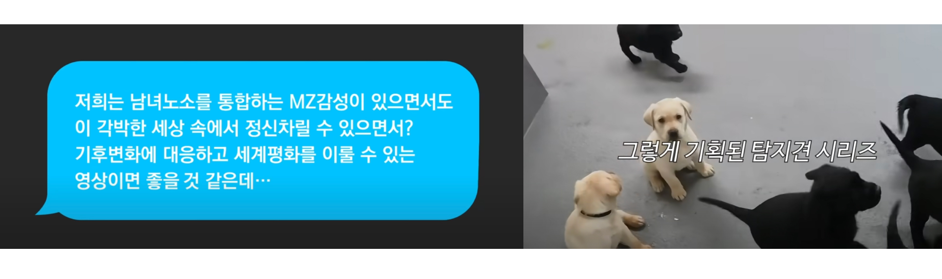 출처 : YouTube '관세청'