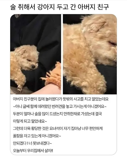 첨부 이미지
