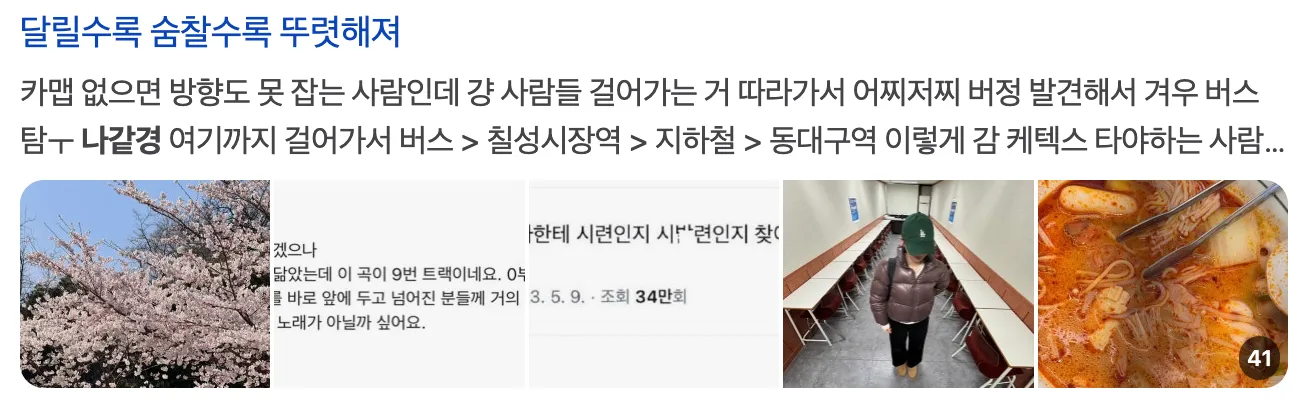 이미지 = 네이버 블로그 캡처 (https://blog.naver.com/bellapupilla/223831872752)