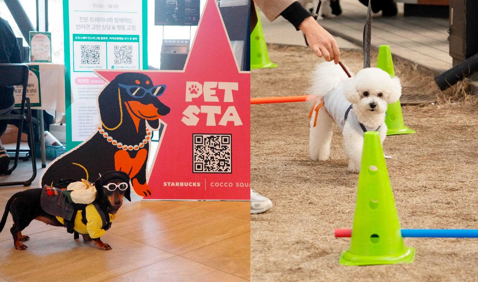 출처 : @cocosquare.official