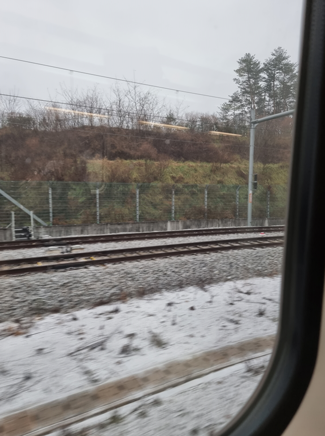 실시간 기차! 강원도는 눈이지 ❄