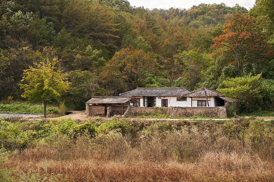 리틀포레스트에서 혜원의 집으로 나온 군위 촬영지