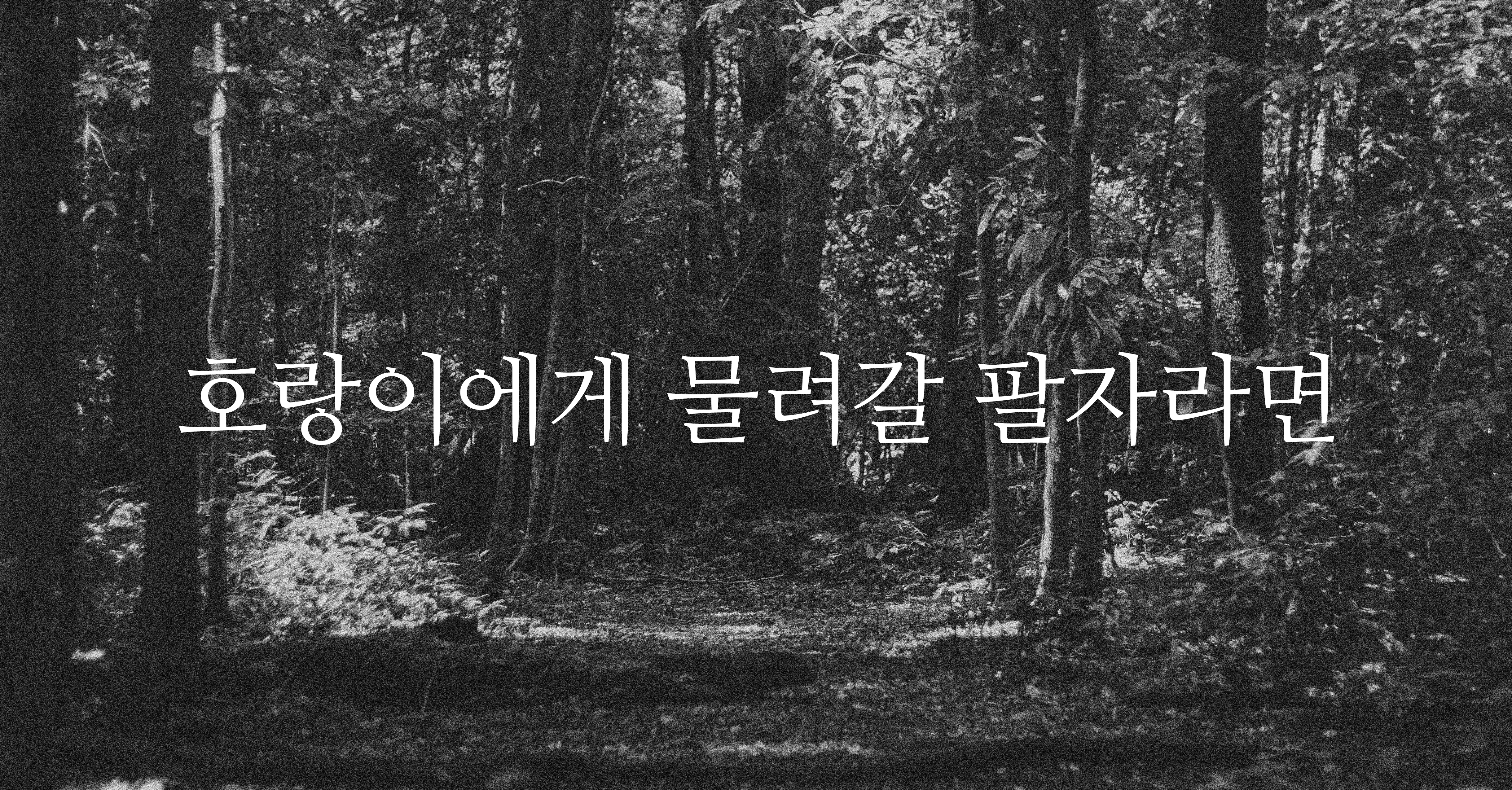 첨부 이미지