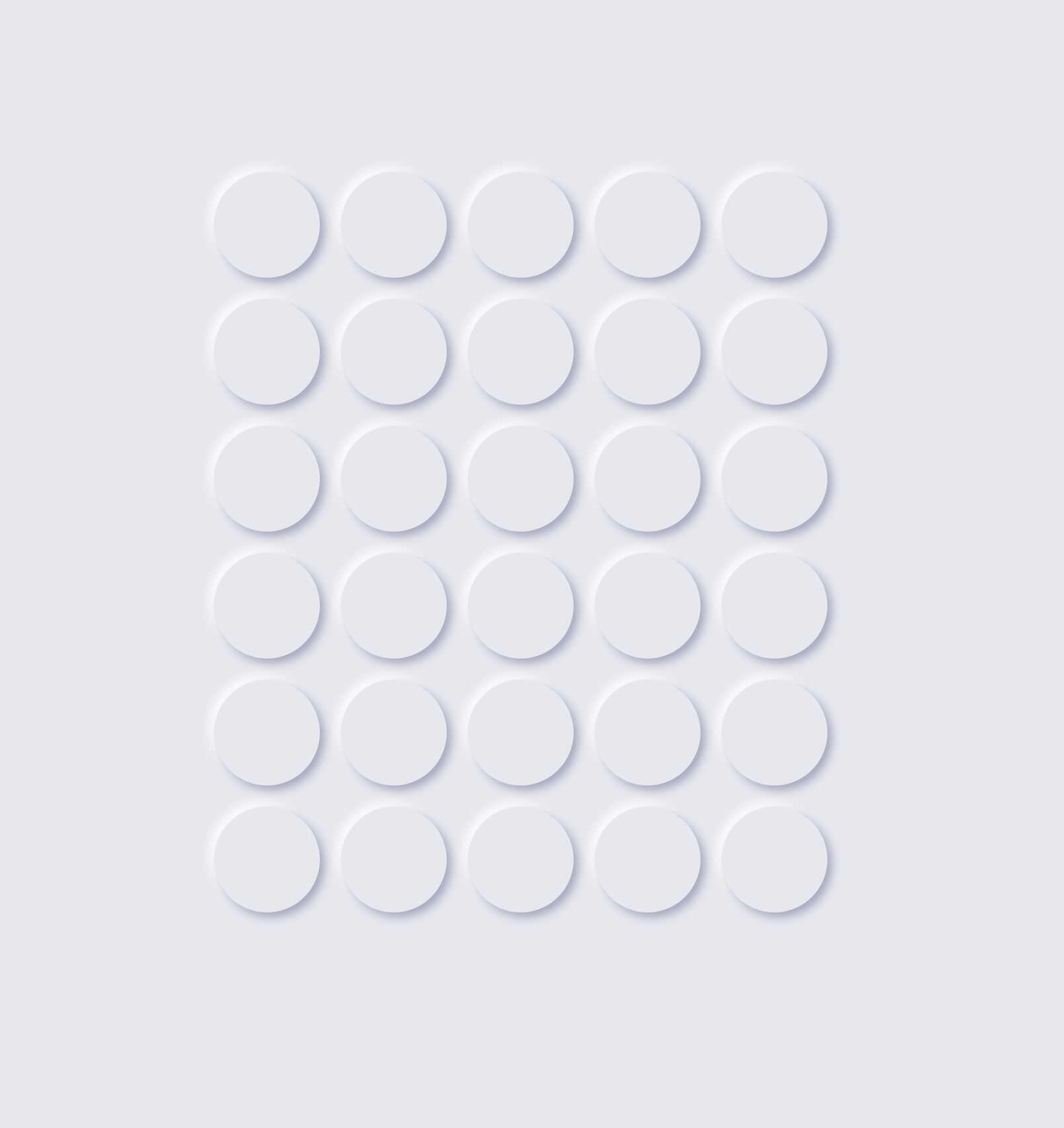 얘는 동그란 것이 매력...!