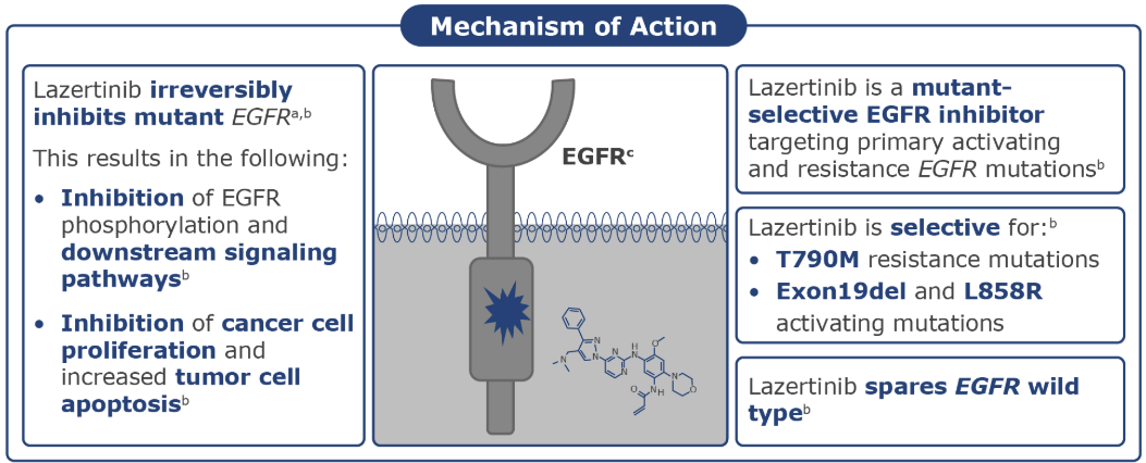 출처: Janssen science. LAZCLUZE™ (lazertinib) Medical Information