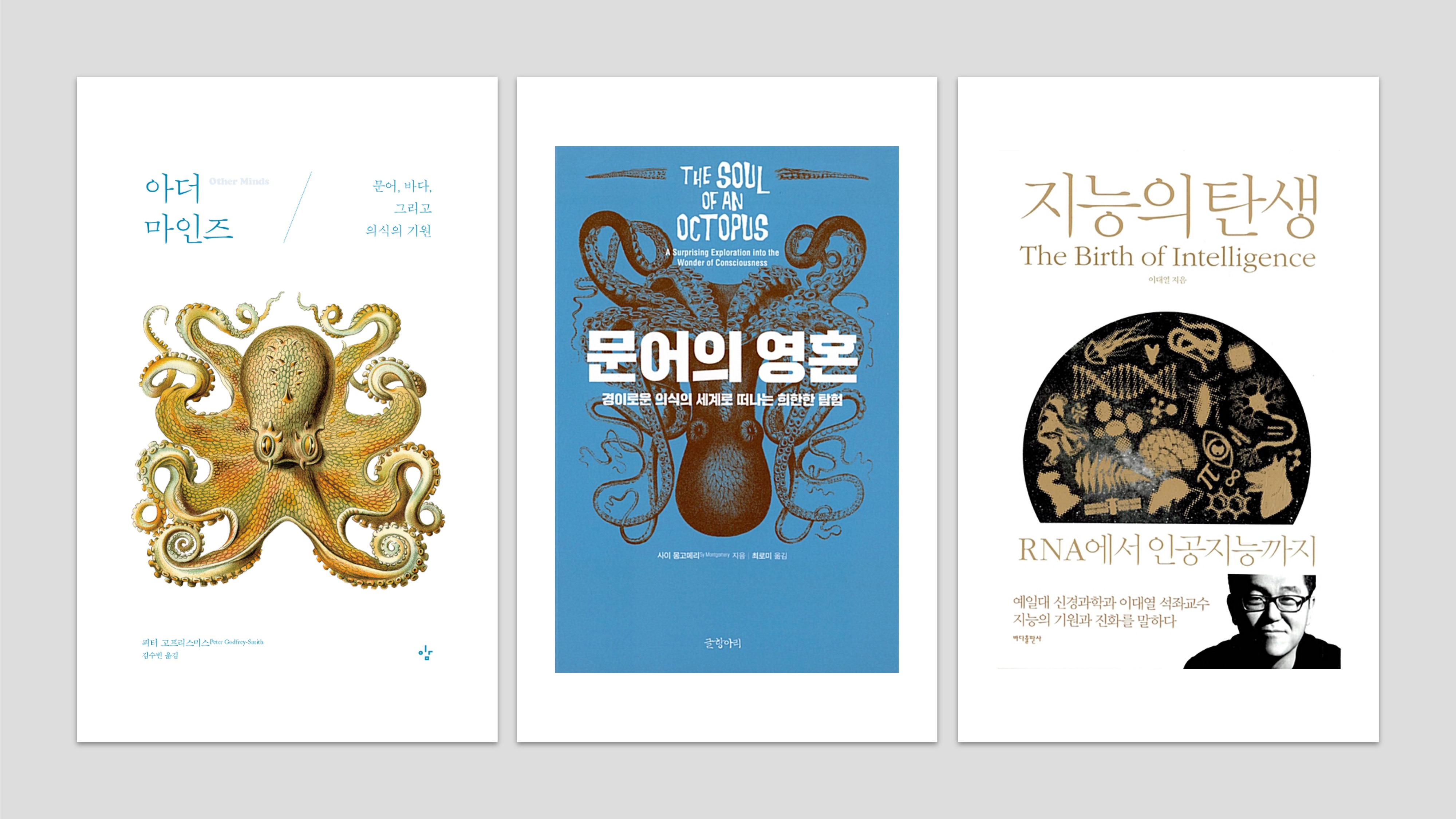 '<나의 문어 선생님>과 함께 읽는 문어의 지능'을 쓰는데 도움을 준 책들. 왼쪽부터 피터 고프리스미스의『아더 마인즈』, 사이 몽고메리의『문어의 영혼』, 이대열의『지능의 탄생』.『지능의 탄생』을 먼저 읽어보길 권한다. 장대익 교수의 평을 빌리자면, 우리나라에 소개된 책 중에서 지능의 본질을 가장 독창적이고 명쾌하게 설명하는 책이다.