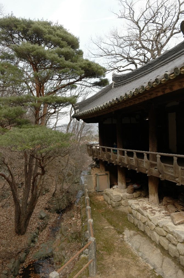 만지송과 분옥정이 푸른 소리를 내며 흐르는 청류를 사이좋게 나누는 풍광이 돋보인다. 아래 사진의 만지송이 위 기사의 만지송으로 변해가면서 결국 만지송은 고사하고 없어진다.(사진 : 포항의 빼어난 정자, 분옥정)