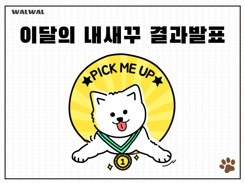 [3월] 이달의 내새꾸의 썸네일 이미지