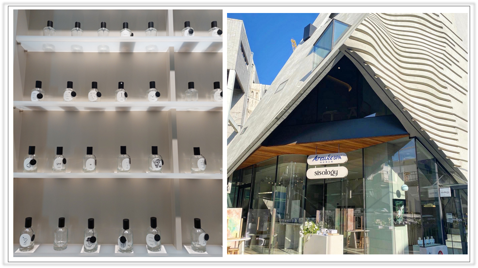 출처 : 시스올로지 방문한 헤일리